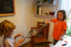 Cèl·lula, ADN, taller, colors, barcelona