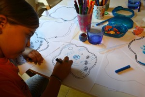 Cèl·lula, dibuix, taller, colors