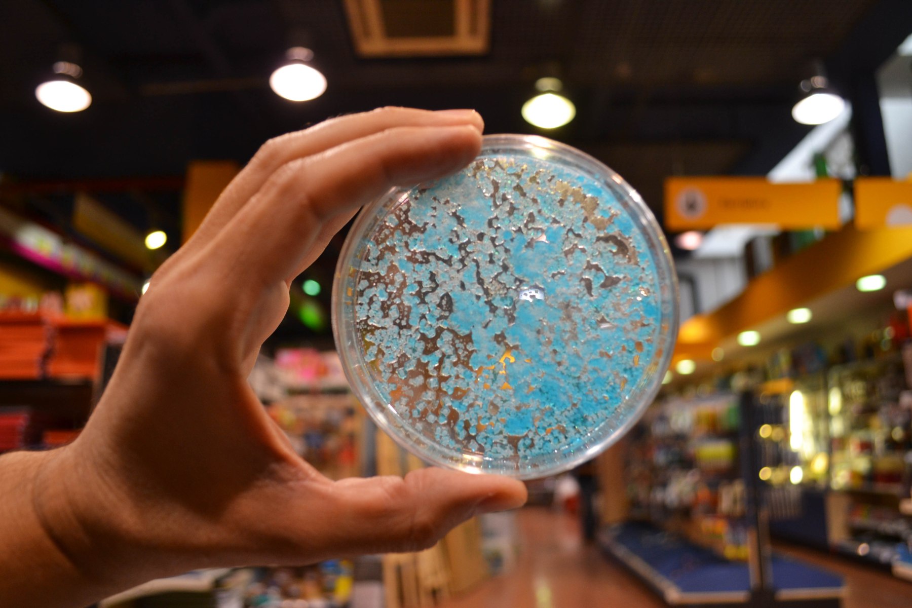 cristalls, taller, NaCl, Badalona