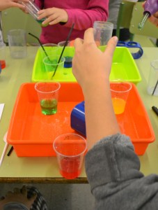 Taller de Química: gradient de densitat amb sucre.