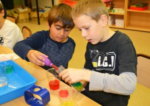 Taller de Química - Gradients de densitat amb sucre