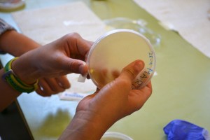 Taller de Microbiologia Extraescolars Barcelona