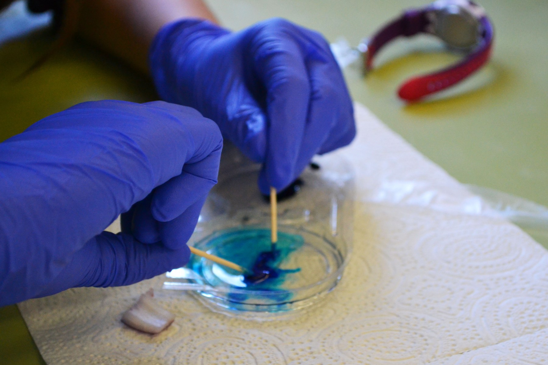 Taller de Biologia Cel·lular Extraescolars Barcelona