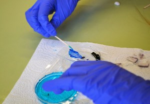 Taller de Biologia Cel·lular Extraescolars Barcelona