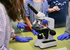 Taller de Biologia Cel·lular Extraescolars Barcelona