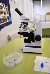 Taller de Biologia Cel·lular Extraescolars Barcelona