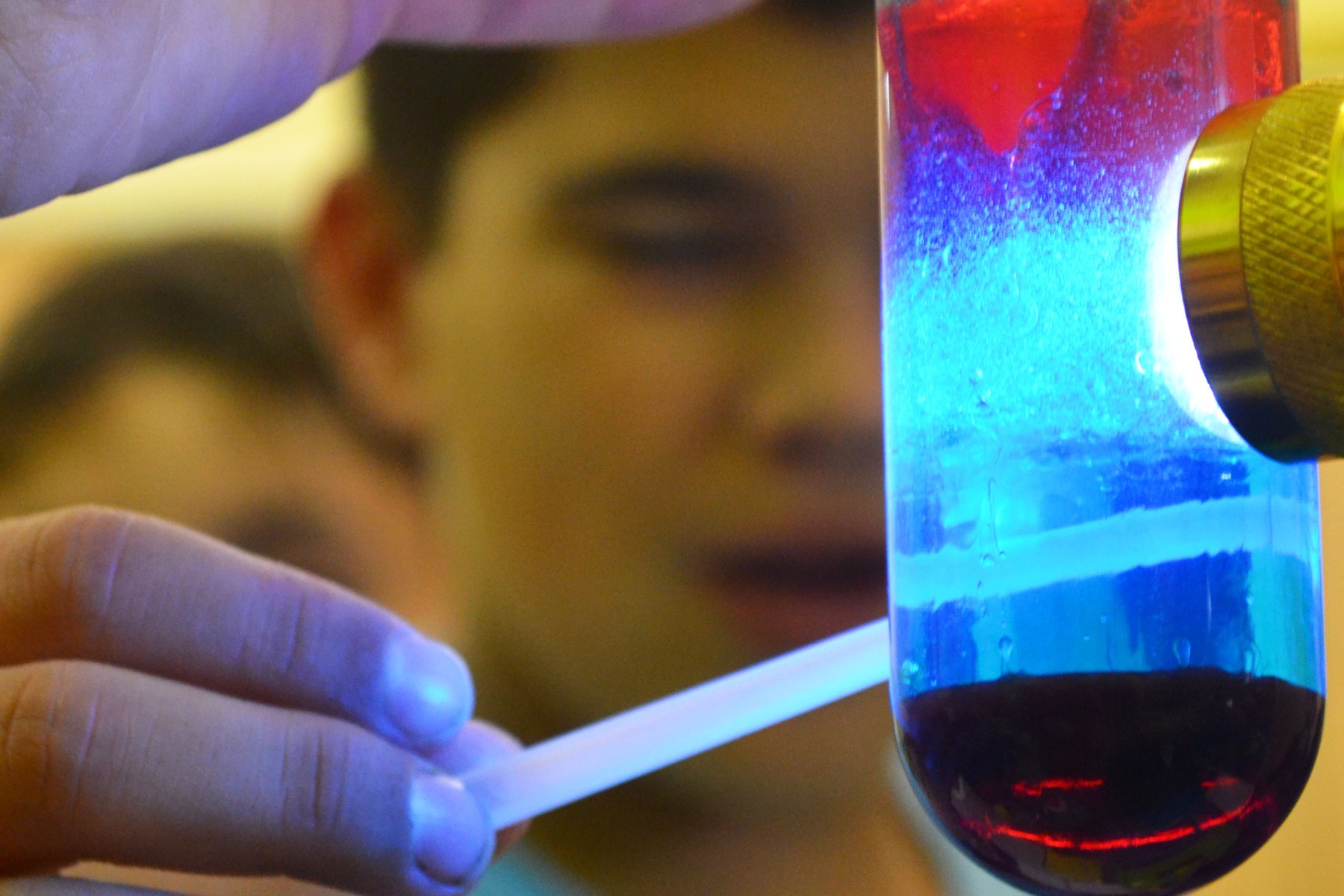 Tallers extraescolars química densitat dels líquids