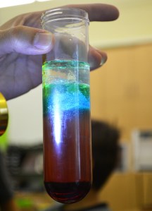 Tallers extraescolars química densitat dels líquids