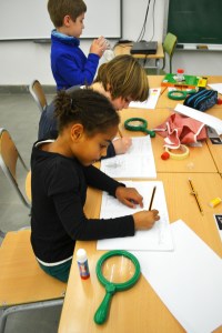 Tallers extraescolars - El món dels Insectes