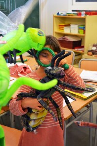 Tallers extraescolars - El món dels Insectes