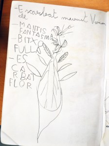 Tallers extraescolars - El món dels Insectes