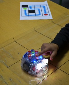 Tallers Robòtica Bee-Bot i Blue-Bot