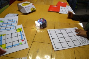 Tallers Robòtica Bee-Bot i Blue-Bot