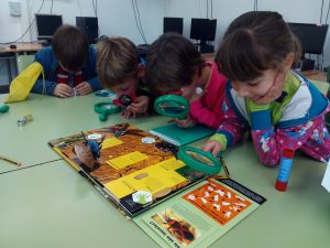 Tallers extraescolars - El món dels Insectes