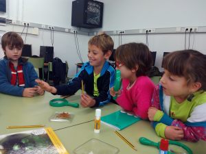 Tallers extraescolars - El món dels Insectes