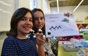 Tallers Extraescolars Ciència Molècules