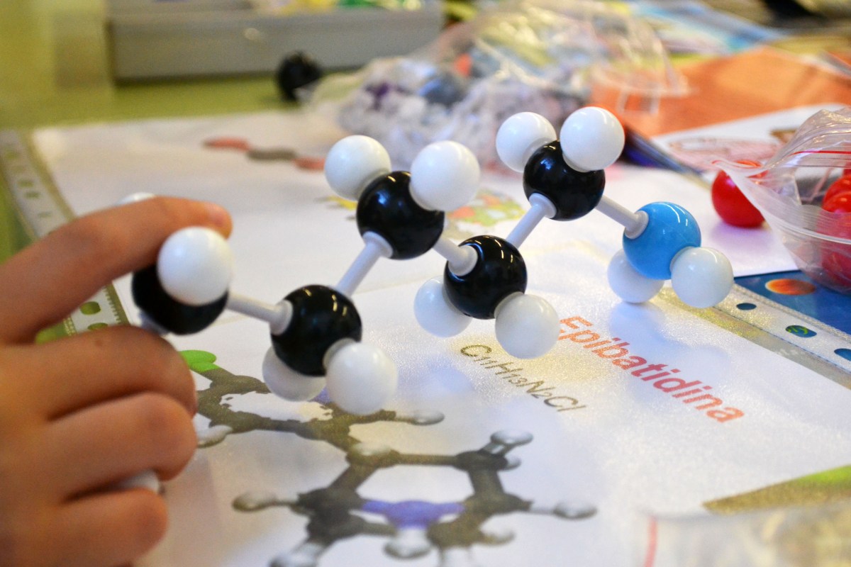 Tallers Extraescolars Ciència Molècules