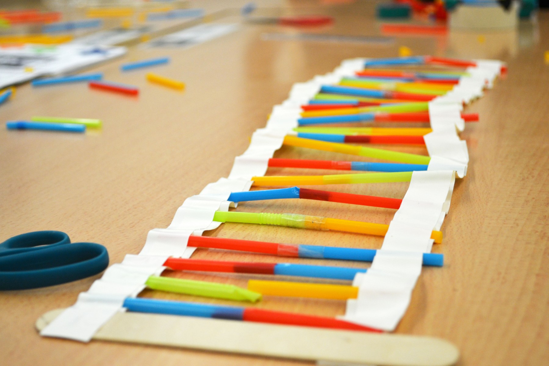 Tallers Extraescolars Ciència ADN Barcelona