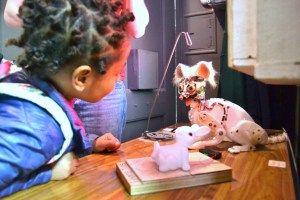 taller STEM/STEAM extraescolar/afterschool de labclub al made makerspace de barcelona amb 3d printer and laser-cutter