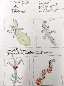 Tallers Extraescolars Ciència Artròpodes Insectes Barcelona