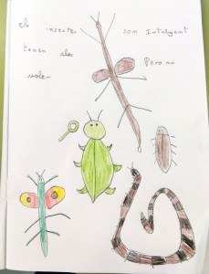 Tallers Extraescolars Ciència Artròpodes Insectes Barcelona