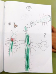 Tallers Extraescolars Ciència Artròpodes Insectes Barcelona