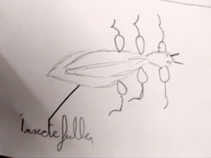 Tallers Extraescolars Ciència Artròpodes Insectes Barcelona