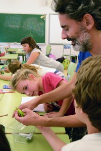 Tallers Extraescolars Ciència Artròpodes Insectes Barcelona