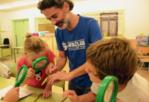 Tallers Extraescolars Ciència Artròpodes Insectes Barcelona