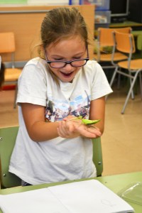 Tallers Extraescolars Ciència Artròpodes Insectes Barcelona