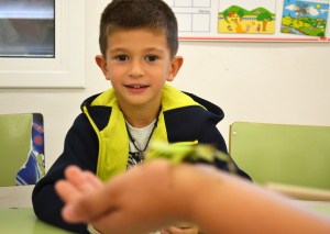 Tallers Extraescolars Ciència Artròpodes Insectes Barcelona