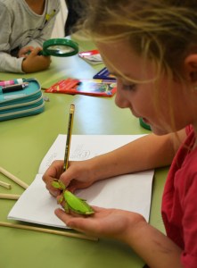 Tallers Extraescolars Ciència Artròpodes Insectes Barcelona