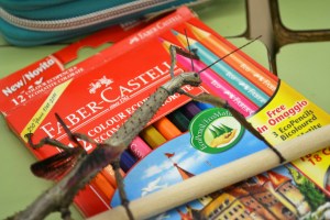 Tallers Extraescolars Ciència Artròpodes Insectes Achrioptera fallax Barcelona