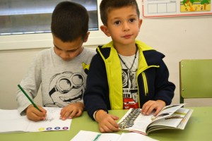 Tallers Extraescolars Ciència Artròpodes Insectes Barcelona