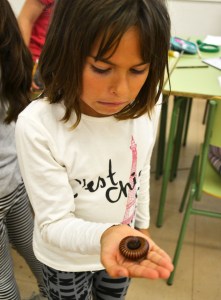 Tallers Extraescolars Ciència Artròpodes Miriàpodes Barcelona