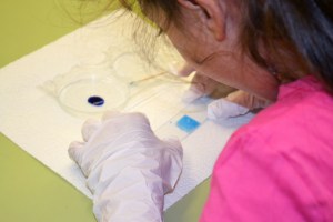 Taller de Biologia Cel·lular Microscòpia Extraescolars Barcelona