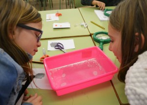 Taller Empremtes dactilars Dactiloscòpia Extraescolars Barcelona