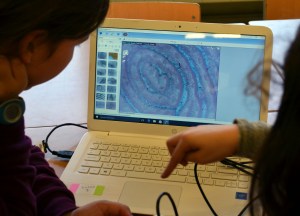 Taller Empremtes dactilars Dactiloscòpia Extraescolars Barcelona