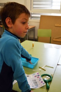 Taller Empremtes dactilars Dactiloscòpia Extraescolars Barcelona