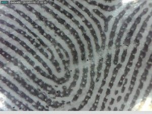 Taller Empremtes dactilars Dactiloscòpia Extraescolars Barcelona