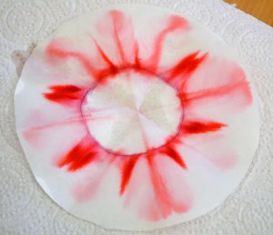 Taller Cromatografia Extraescolars Ciència Barcelona