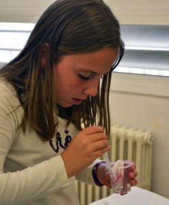 Taller Cromatografia Extraescolars Ciència Barcelona