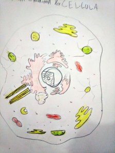 Tallers Extraescolars Ciència ADN Barcelona