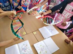 Tallers Extraescolars Ciència ADN Barcelona