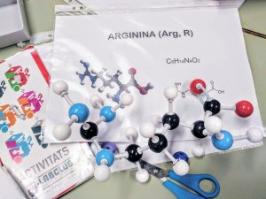 Tallers Extraescolars Barcelona Ciència Molècules Aminoàcids