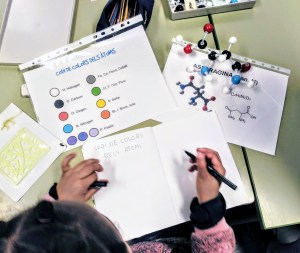 Tallers Extraescolars Barcelona Ciència Molècules Aminoàcids