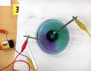 Taller Electròlisi Ciència Extraescolars