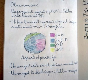 Taller Electròlisi Ciència Extraescolars