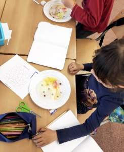 Tallers Extraescolars Ciència STEAM Diagrames Voronoi Barcelona