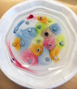 Tallers Extraescolars Ciència STEAM Diagrames Voronoi Barcelona